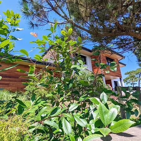Villa Des Pins : Maison D'architecte Avec Piscine, à 500m Des Plages, Calme Et Ensoleillée *